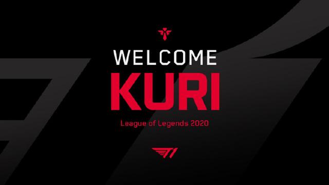 都是球队长 都是球队长