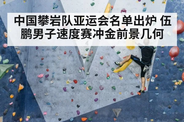 中国攀岩队亚运会名单出炉 伍鹏男子速度赛冲金前景几何 - kaiyun
