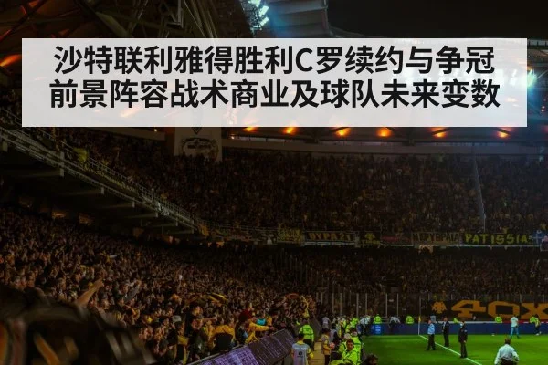 football stadium night crowd